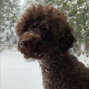 Meet your Posher, Karen